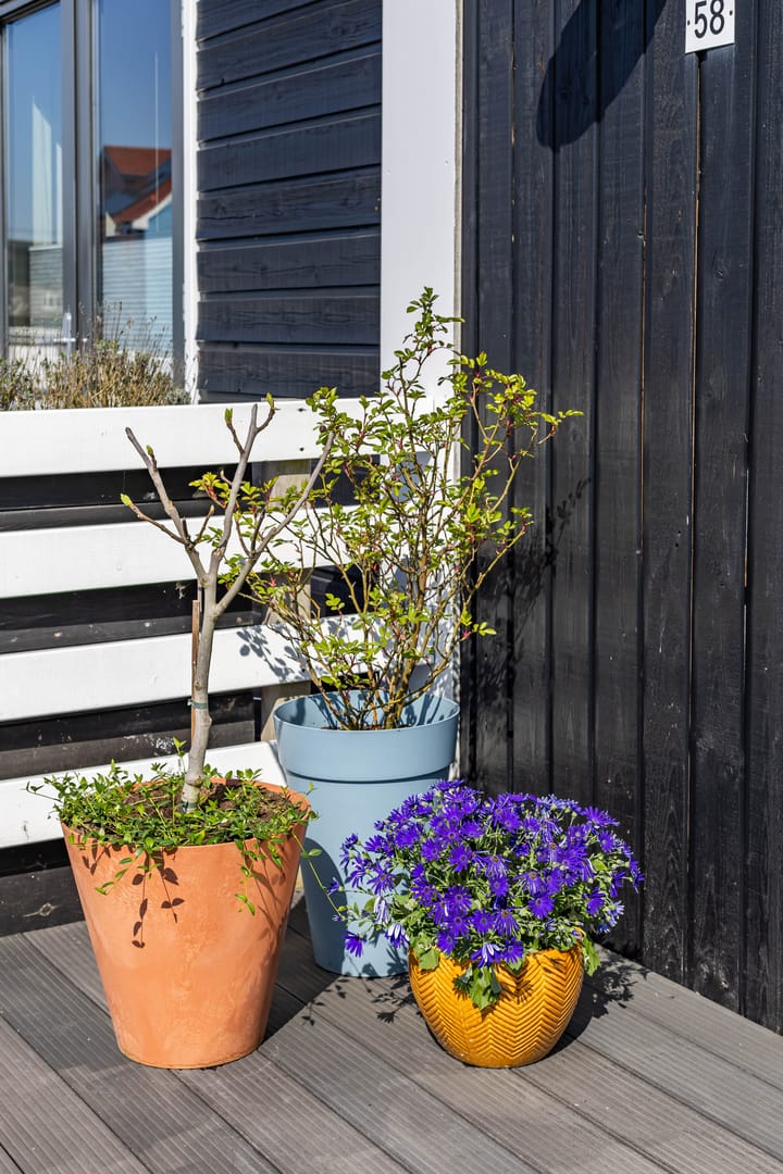 Foto 17 van Hoogeweg 58