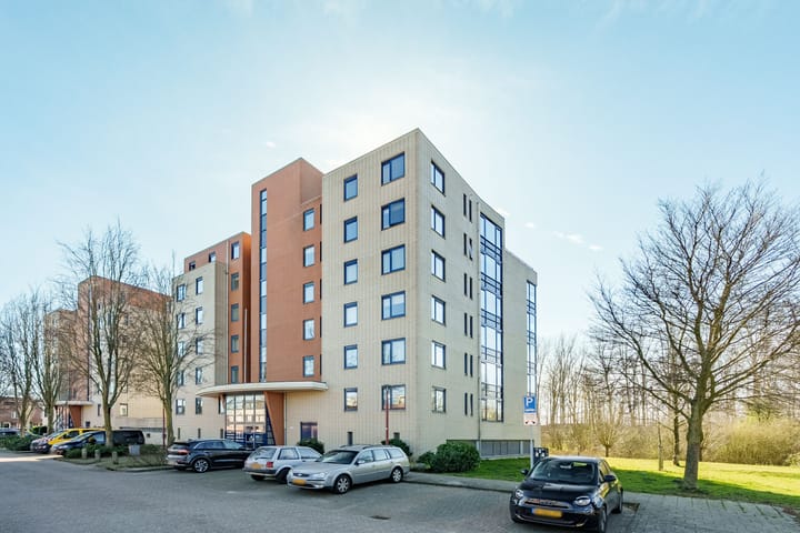 Foto 3 van Lucas van Leydenhage 44