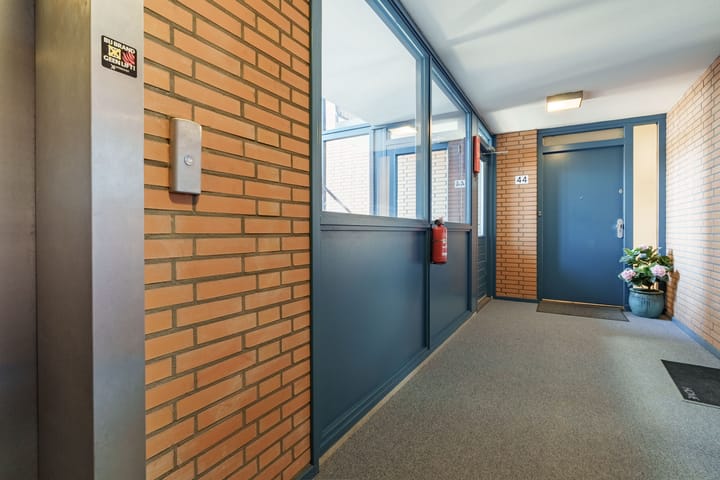 Foto 5 van Lucas van Leydenhage 44