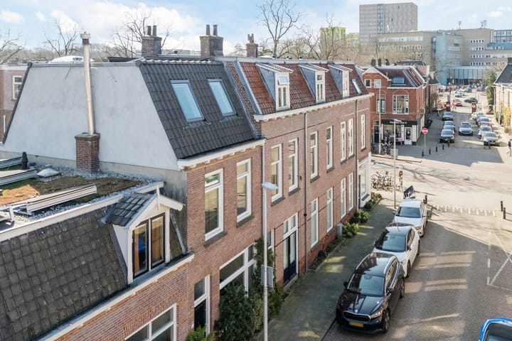 Foto 61 van Ferdinand Bolstraat 11