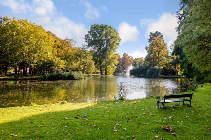 Foto 69 van Ferdinand Bolstraat 11