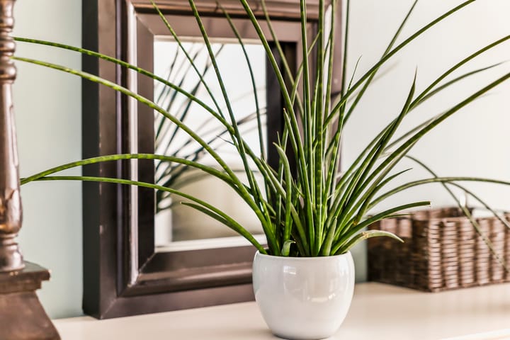 Foto 6 van Dokter Hiemstralaan 122