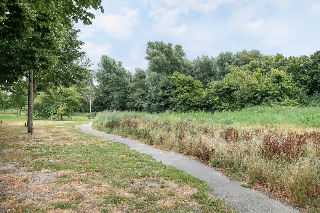 Foto 31 van Paets van Troostwijkstraat 99