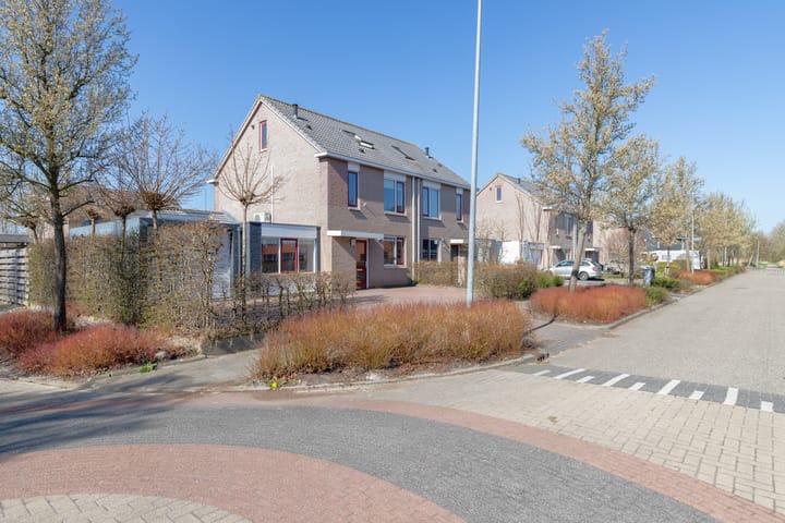 Foto 50 van Spits 12