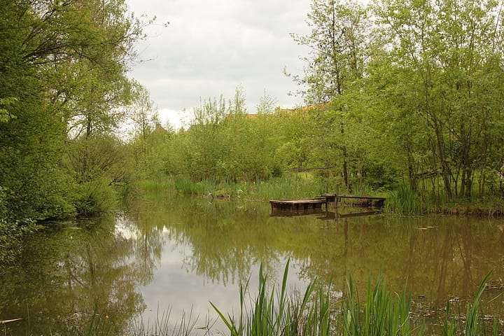 Foto 56 van Spits 12