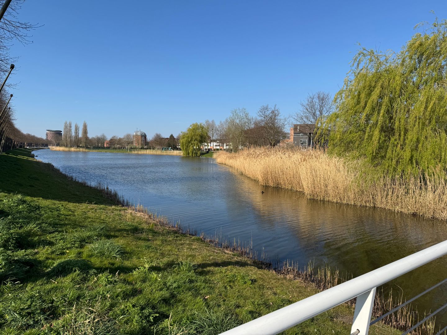 Foto 29 van Rossinilaan 21