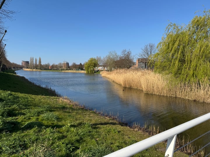 Foto 29 van Rossinilaan 21