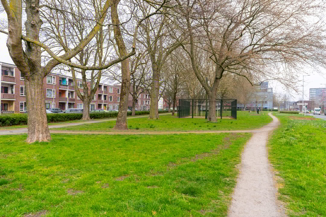 Foto 38 van Talmalaan 5