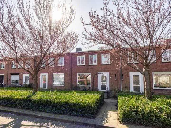 Foto 1 van Boterbloemstraat 17