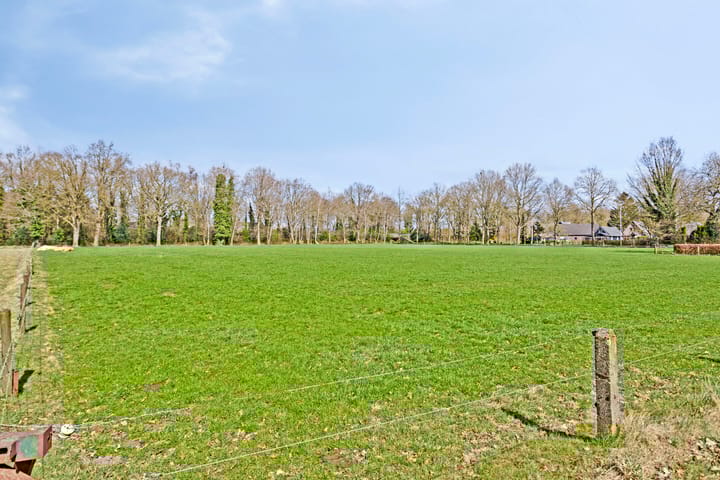 Foto 3 van Ledderweg 37