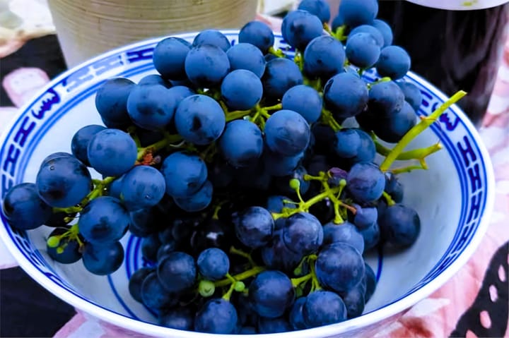 Foto 31 van Meppelrade 99