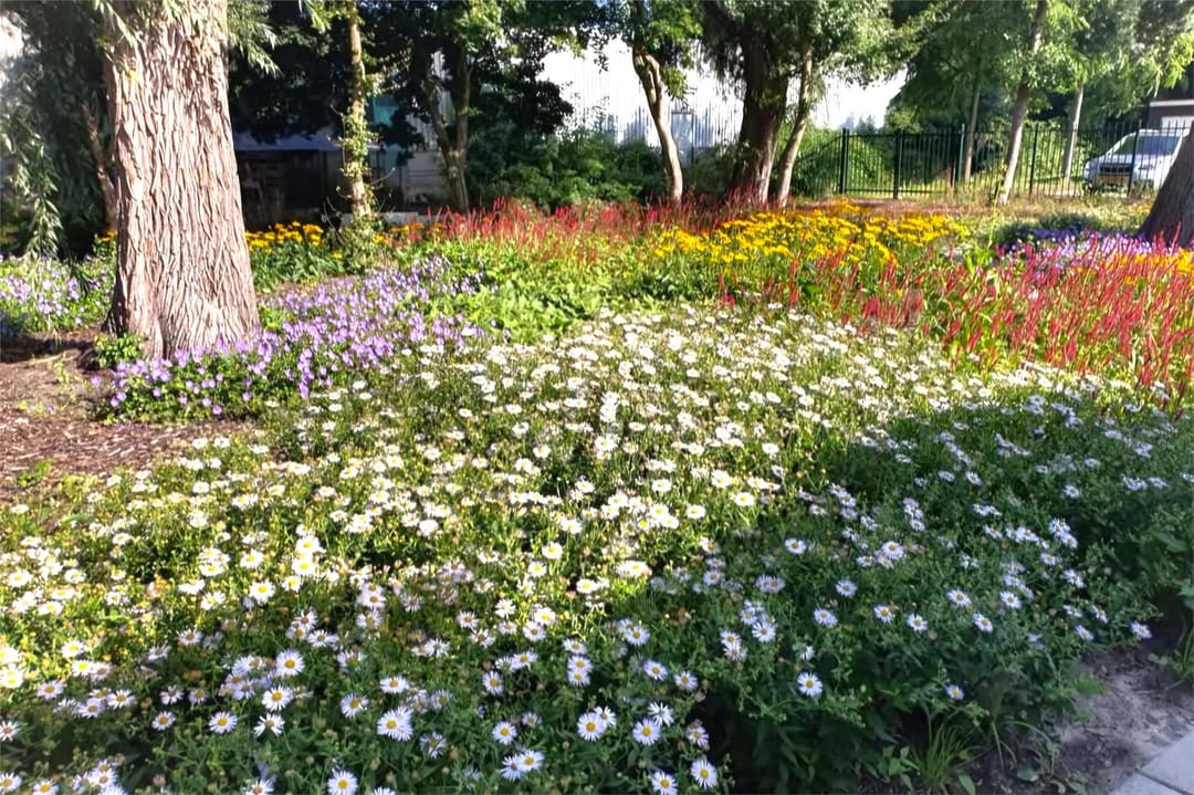 Foto 32 van Meppelrade 99