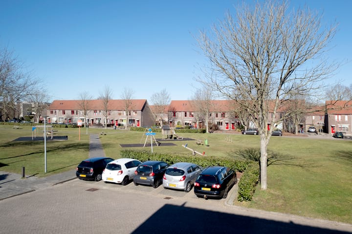 Foto 23 van Muddegoorn 50