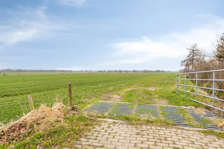 Foto 37 van de Paden 43