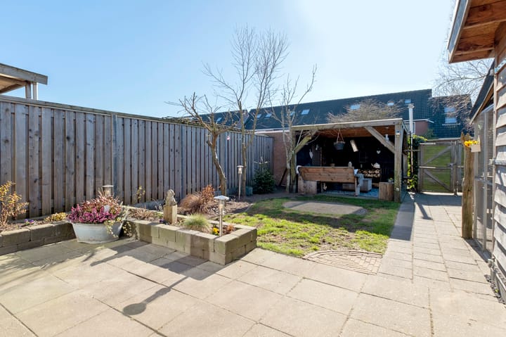 Foto 39 van Muddegoorn 50