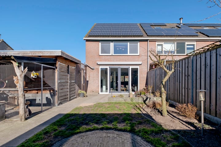 Foto 42 van Muddegoorn 50