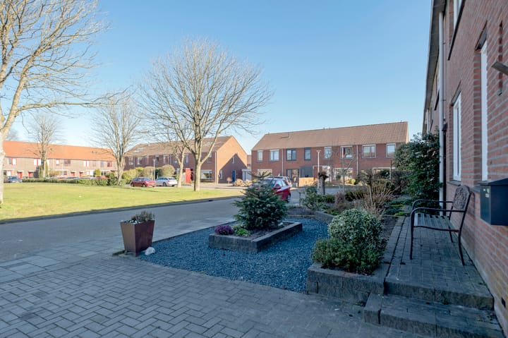 Foto 47 van Muddegoorn 50