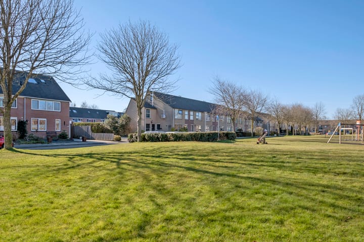 Foto 49 van Muddegoorn 50