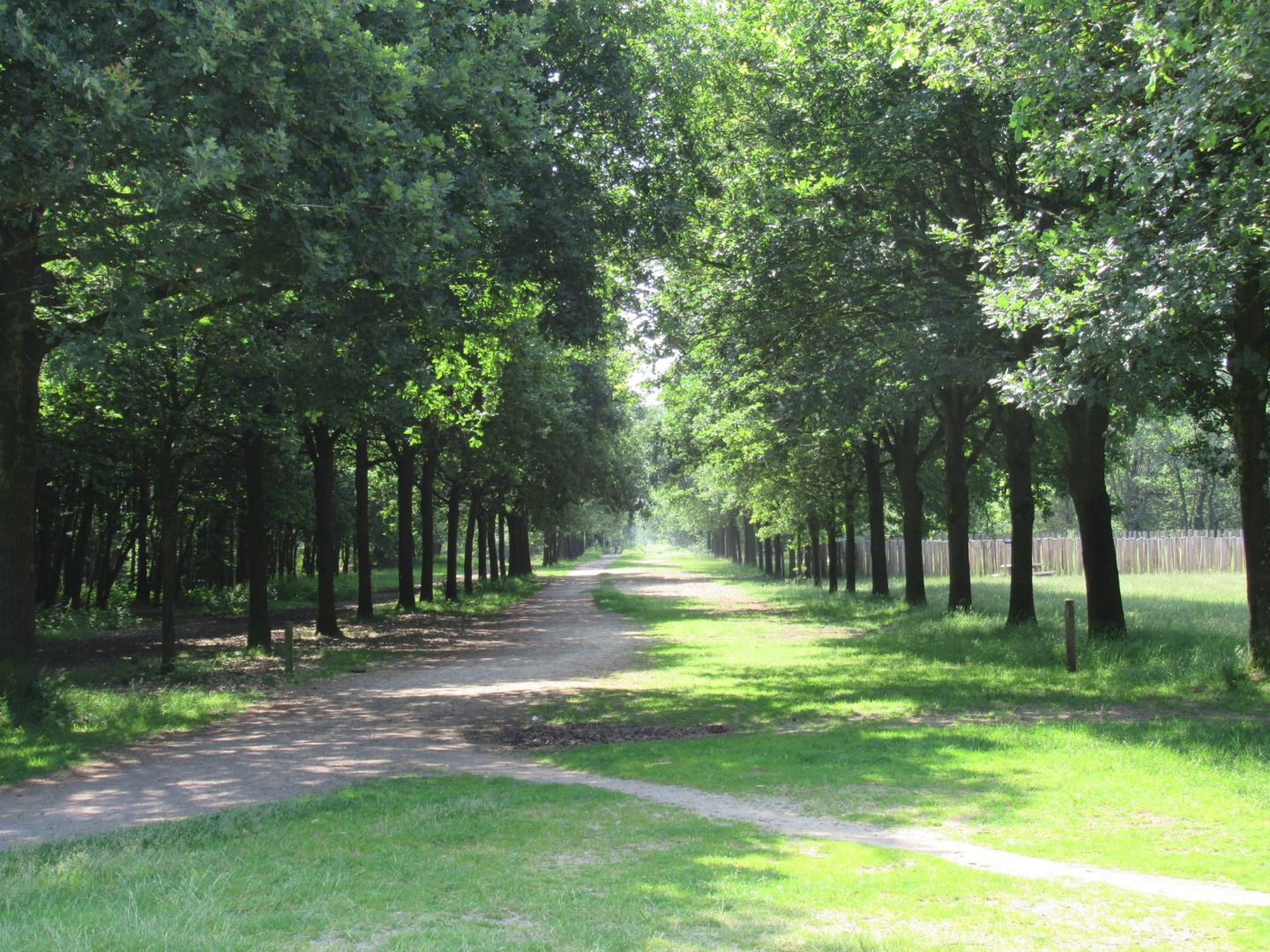 Foto 44 van Vleutloop 40