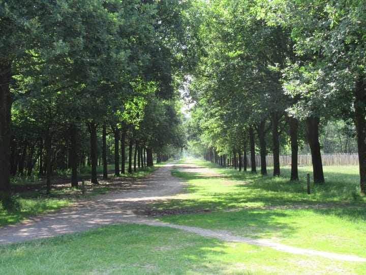 Foto 44 van Vleutloop 40