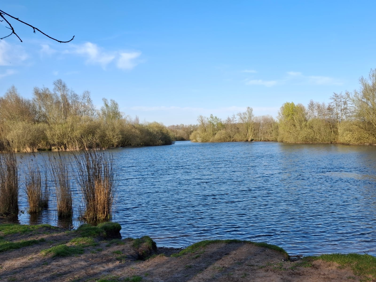 Foto 45 van Vleutloop 40