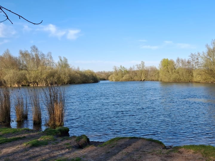 Foto 45 van Vleutloop 40