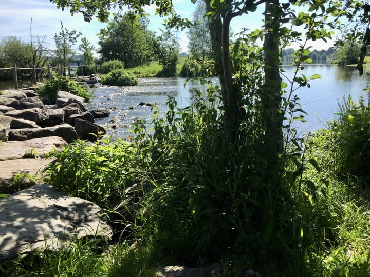 Photo 24 of in 't Broek 5-158