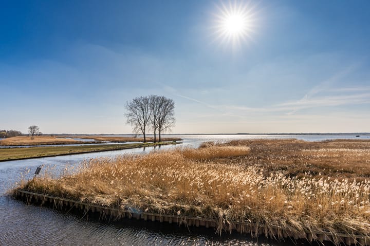 Foto 2 van Klein Scheveningen 9