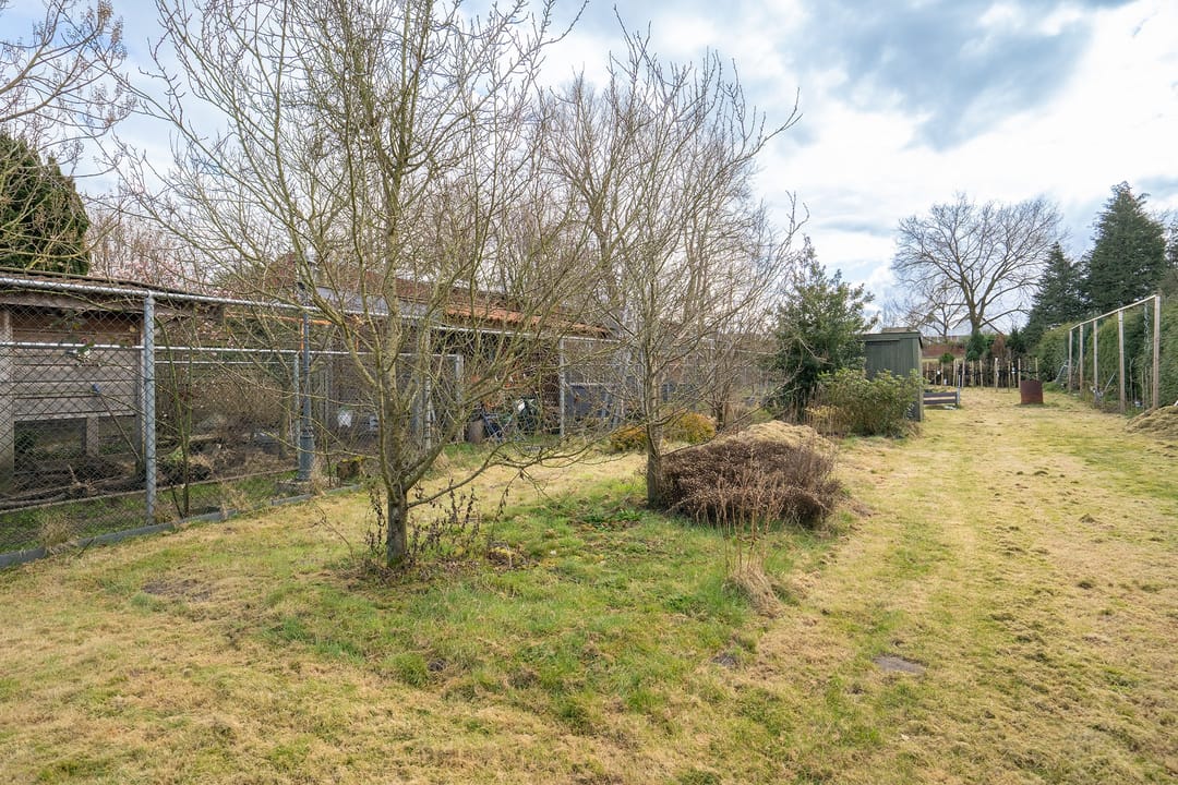 Foto 22 van Bultsweg 137