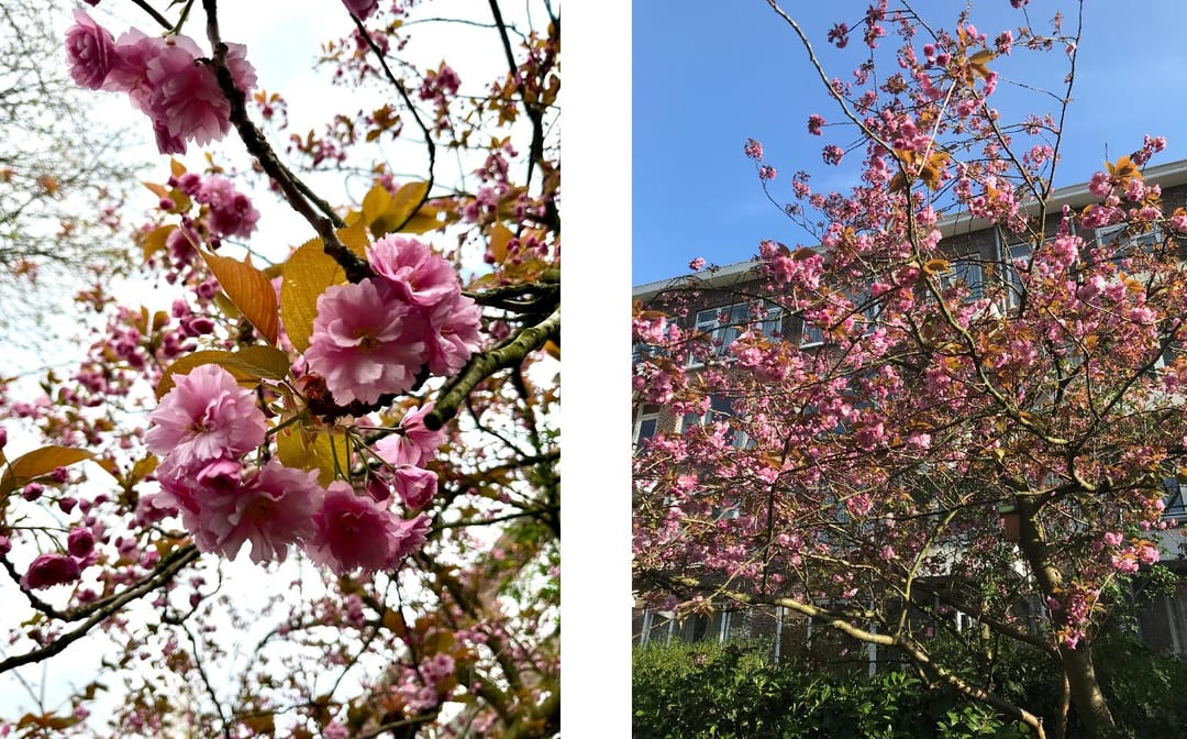 Foto 16 van Prins Hendrikkade 164-A