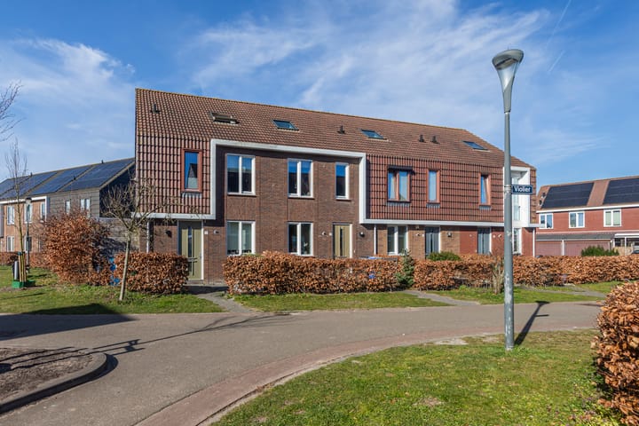 Foto 30 van Violier 8