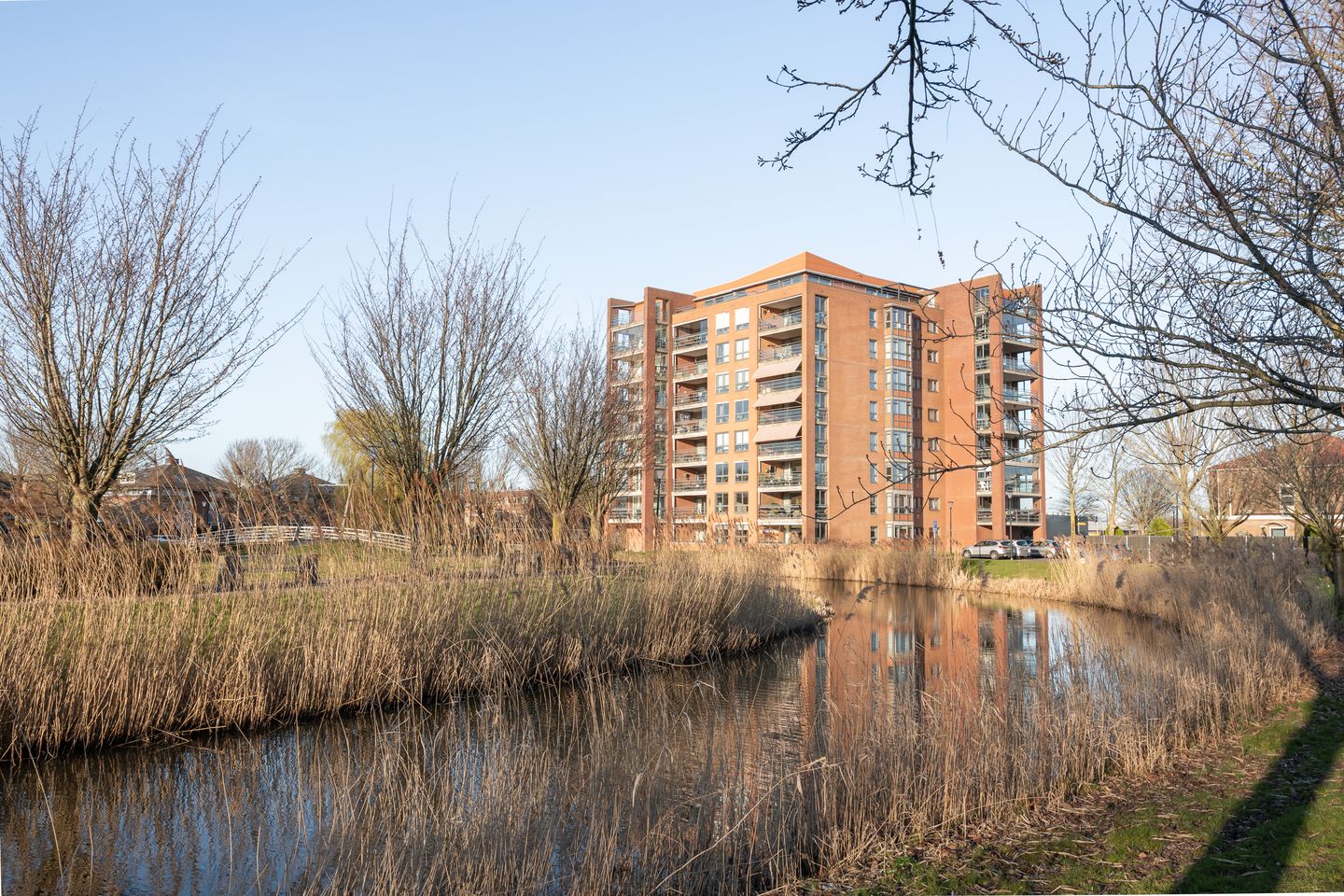 Foto 29 van Meerwedesingel 129