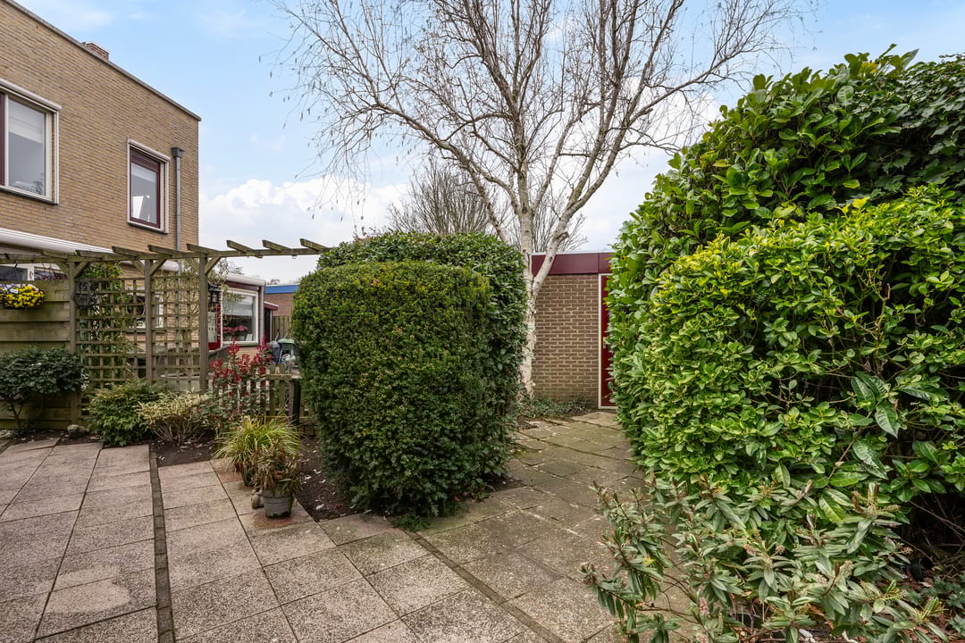 Foto 17 van Eleonorastraat 103