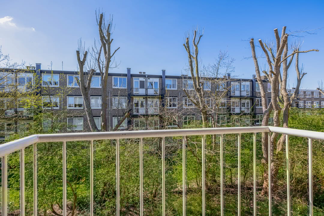 Foto 23 van Gerard Doustraat 17