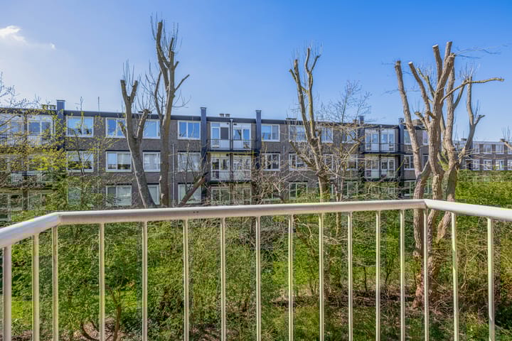 Foto 23 van Gerard Doustraat 17