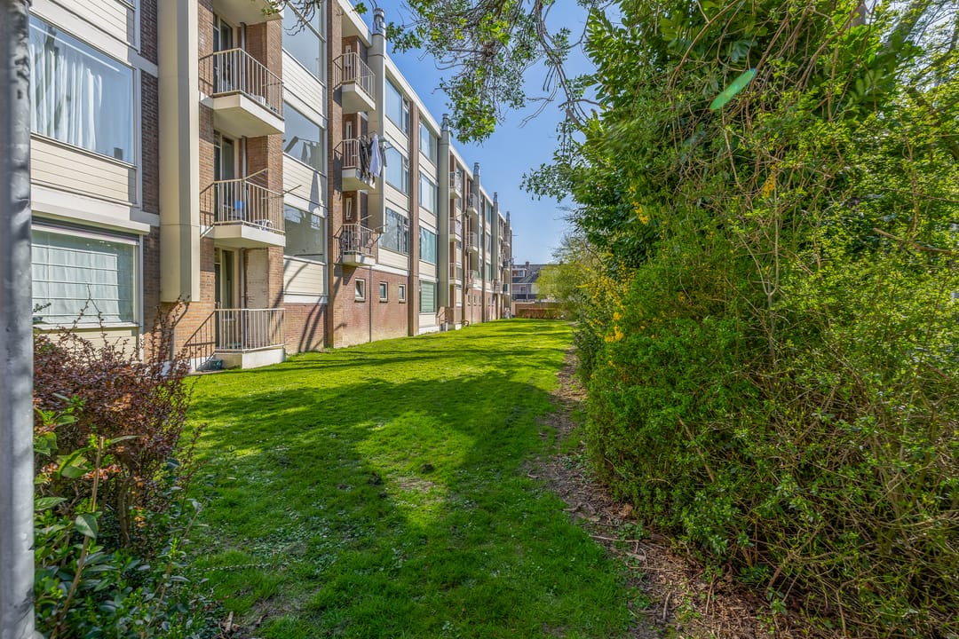 Foto 32 van Gerard Doustraat 17