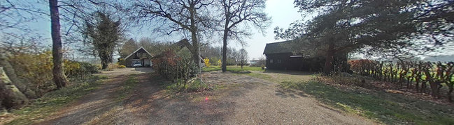 Tuin