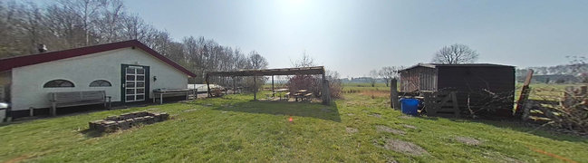 Tuin