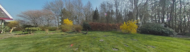 Tuin