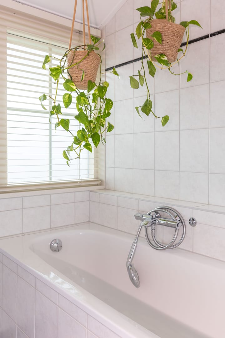 Foto 38 van Groene Velden 44