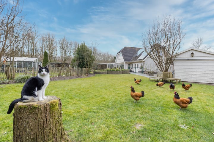 Foto 54 van Groene Velden 44