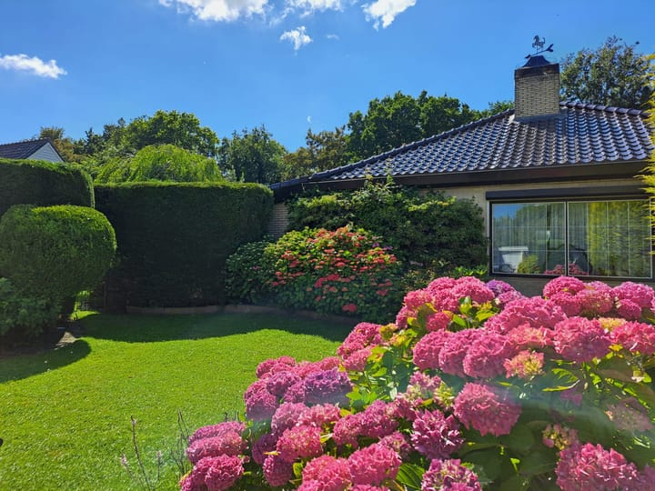 Foto 3 van Zuiderpark 33