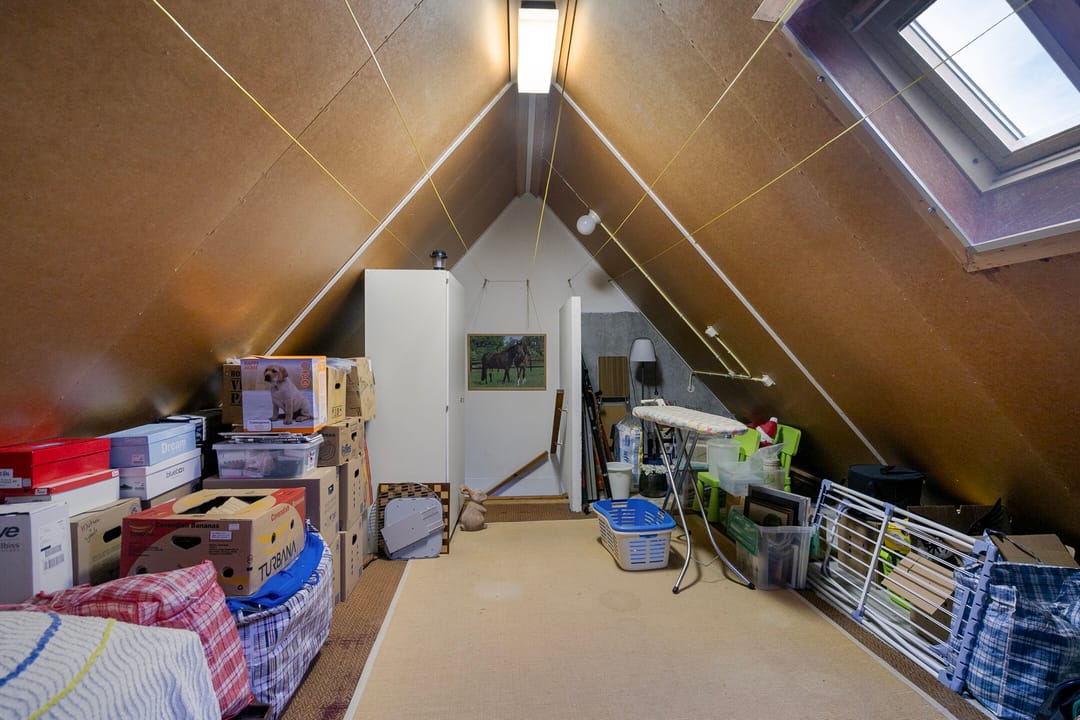 Foto 23 van Hazenpad 10