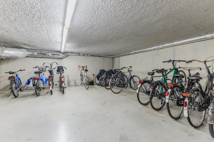 Photo 23 of Blauwvoetstraat 13