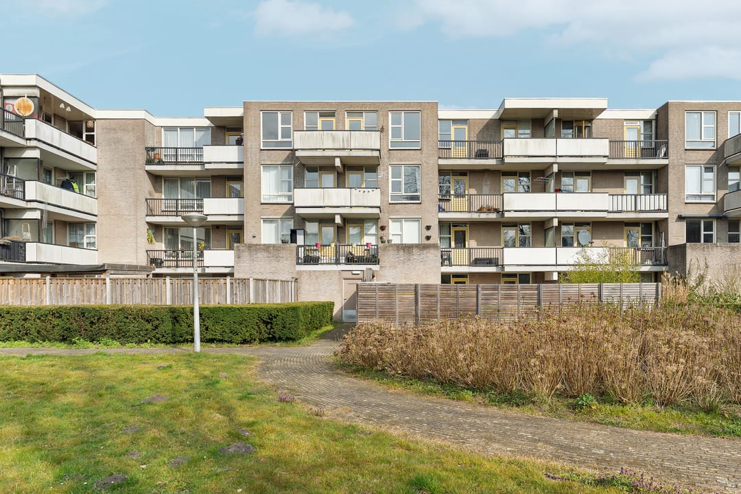 Foto 1 van Wamelplein 149