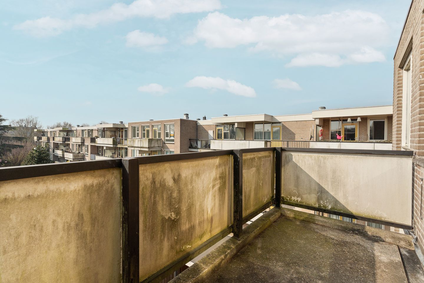 Foto 5 van Wamelplein 149