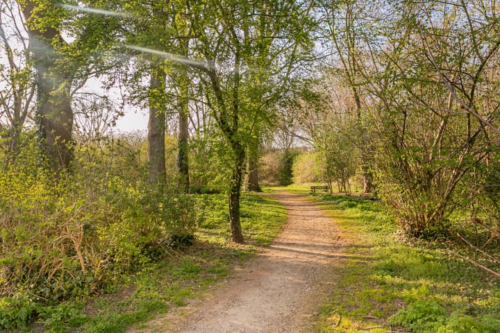 Foto 29 van Dr Holwerdastraat 14