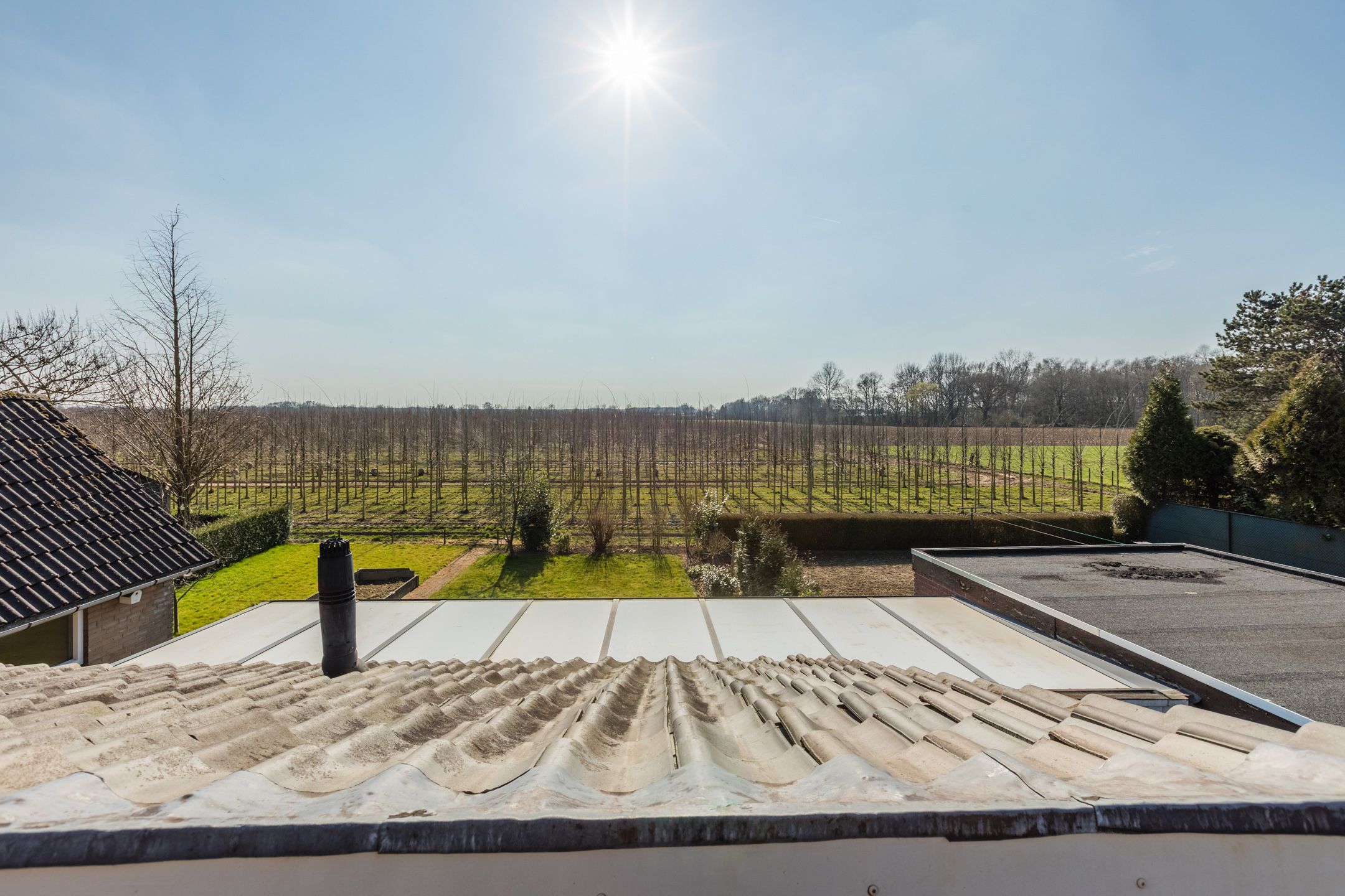 Foto 3 van Liesmortel 24