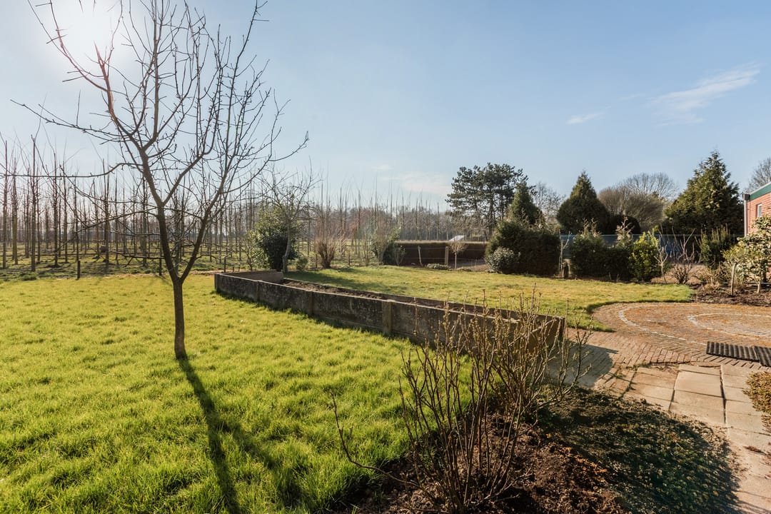 Foto 26 van Liesmortel 24