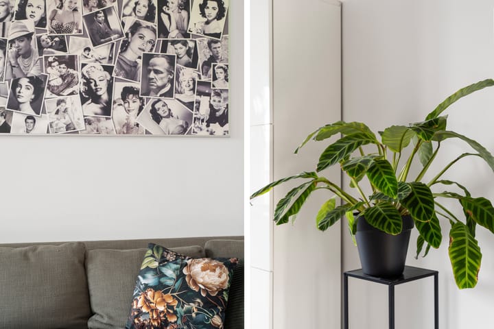 Foto 26 van Alfred Kastlerstraat 21